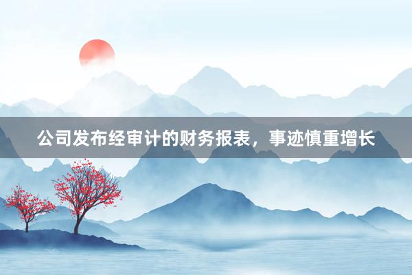 公司发布经审计的财务报表，事迹慎重增长
