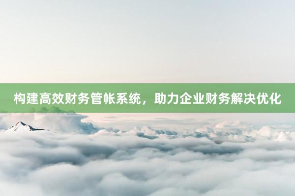 构建高效财务管帐系统，助力企业财务解决优化