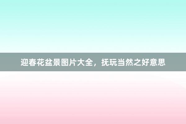 迎春花盆景图片大全，抚玩当然之好意思