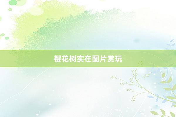 樱花树实在图片赏玩