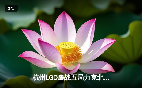杭州LGD鏖战五局力克北京JDG，江城公孙离决胜团战定乾坤 - 3
